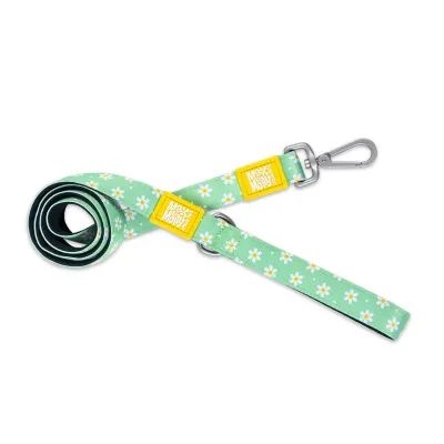 Max & Molly - Korte Riem – Margarite Max & Molly - Korte Riem – Margarite