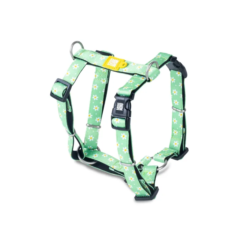 Max &amp; Molly - Harnas - Margarite