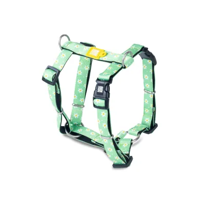 Max &amp; Molly - Harnas - Margarite