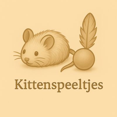 Kittenspeeltjes