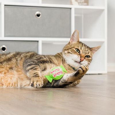 Kittybelles - 2-Pack - Santa Hat &amp; Sweet Thing Candy