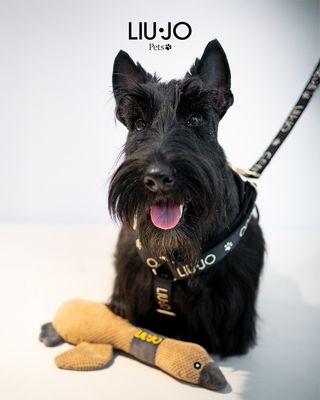 Liu-Jo pluche hondenspeeltje ‘Eend’