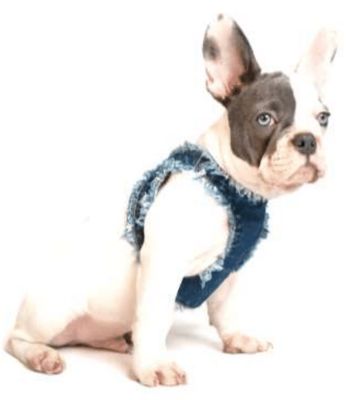 Liu-Jo - DENIM HARNESS