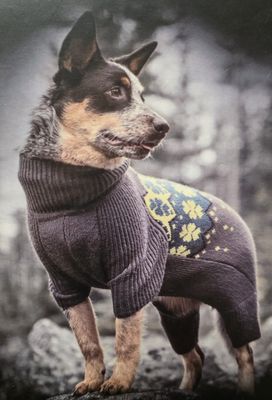Hurtta - Outdoors - Comfort Knit Hurtta - Outdoors - Comfort Knit