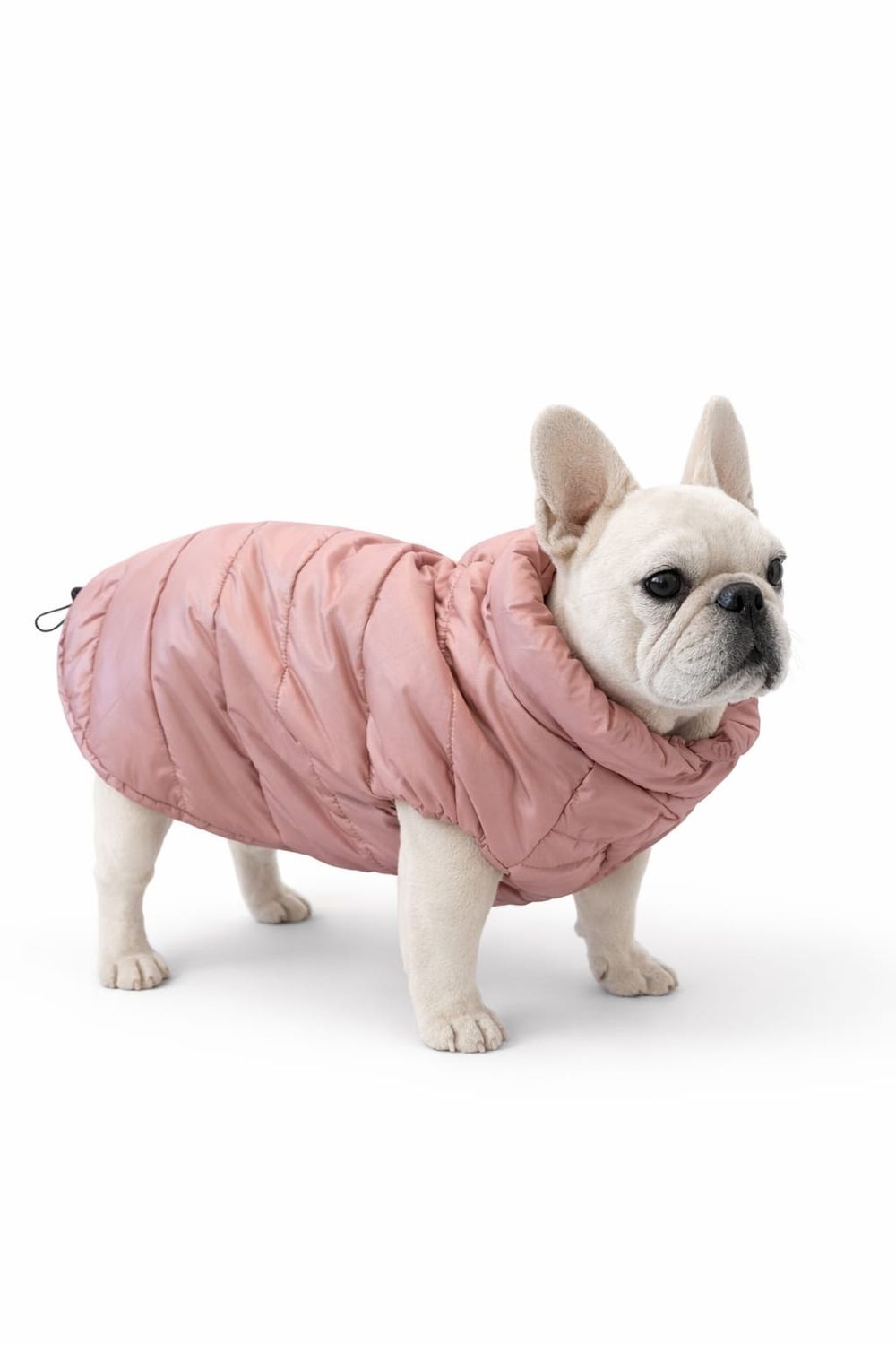 I Love My Dog - Easy Jacket - French Buldog - Beige