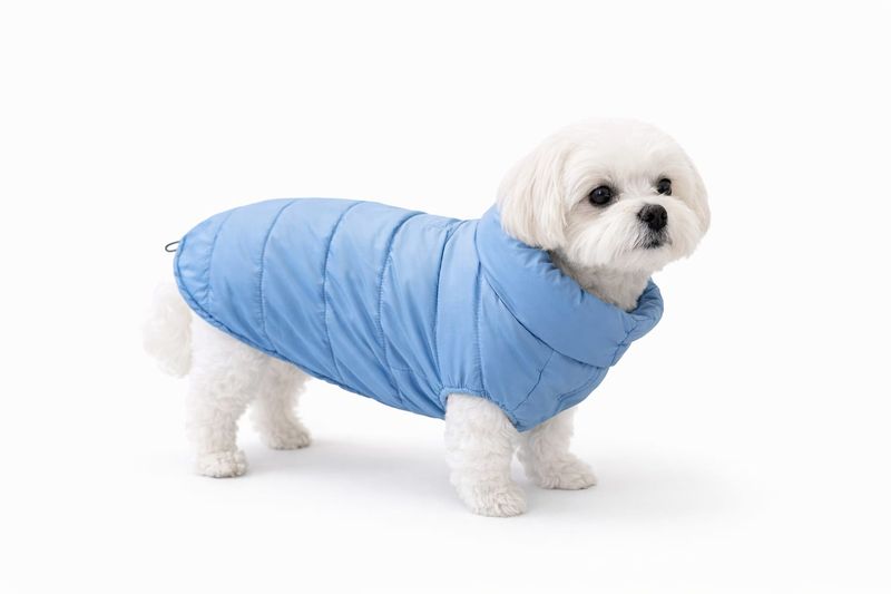 I Love My Dog - Easy Jacket - Blue - Maat L