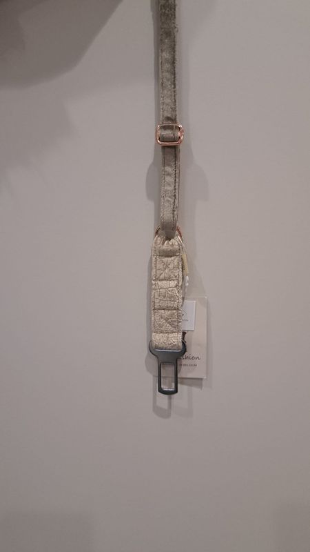 Carbelt short- Fifi's Dog Fashion