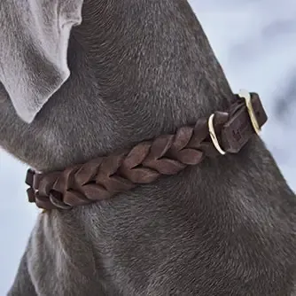Ammi for dogs - Zijdezacht gevlochten echte leren halsband