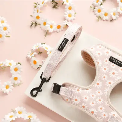 Cocopup - Daisy Chain - Leiband Cocopup - Daisy Chain - Leiband