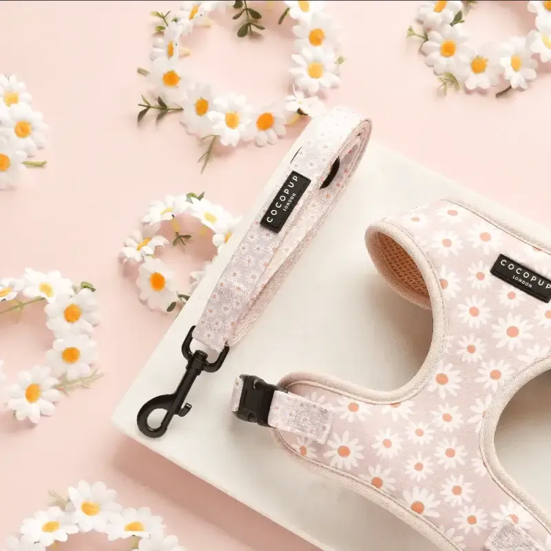 Cocopup - Daisy Chain - Leiband