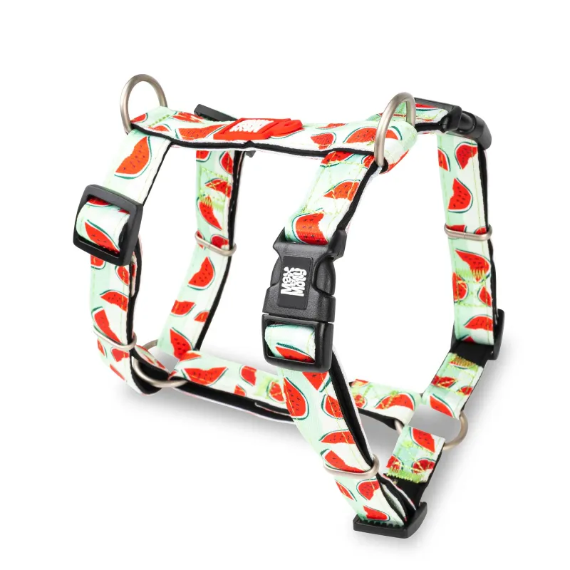 Max & Molly - Harnas - Watermelon Max & Molly - Harnas - Watermelon