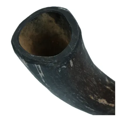 Viking Horn - Whole S Viking Horn - Whole S