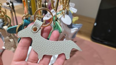 Sleutelhanger- Teckel Sleutelhanger- Teckel