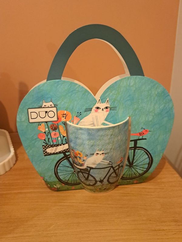 Mok - fietsende kat- duo