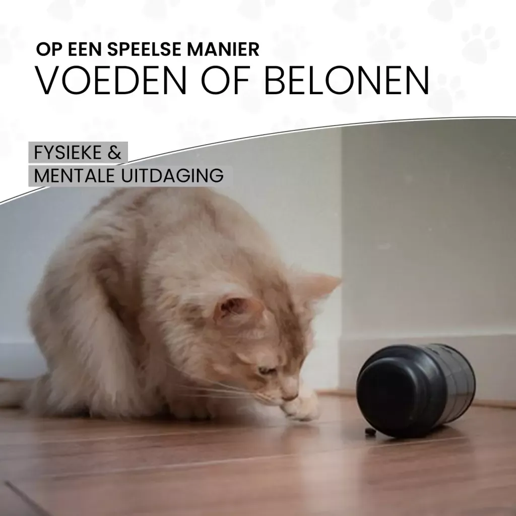 Eat Slow Live Longer - Feed &amp; Treat Roller Grijs L