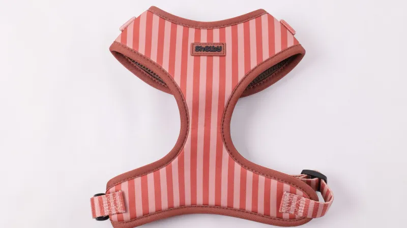 Shelby - Chocolade Droom - Neopreen Harnas Shelby - Chocolade Droom - Neopreen Harnas
