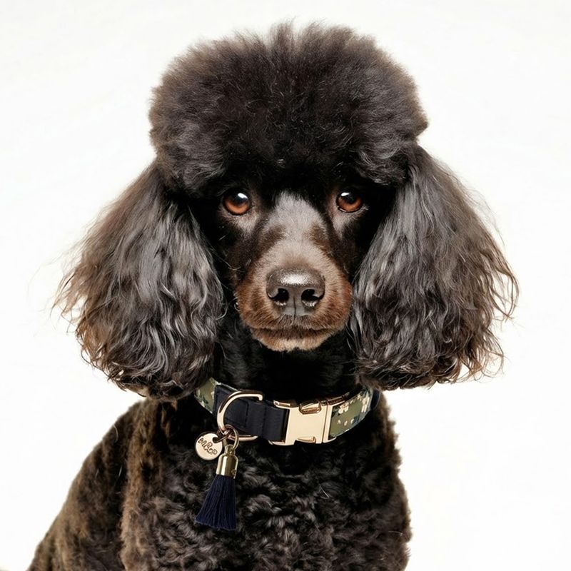 Milk&amp;Pepper - Becky