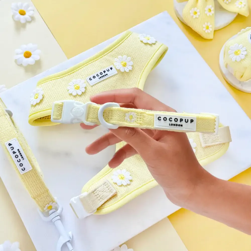 Cocopup London -Boterbloem - HONDENHALSBAND