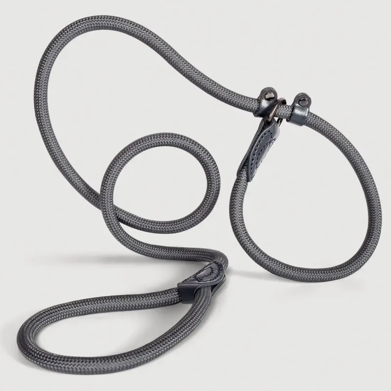 ne&no - Retriever riem - Touwen riem met geïntegreerde halsband - 8mm (tot 5kg) ne&no - Retriever riem - Touwen riem met geïntegreerde halsband - 8mm (tot 5kg)
