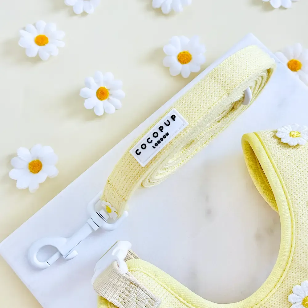 Cocopup-Boterbloem - Les