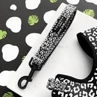 Cocopup - Black Leopard - les Cocopup - Black Leopard - les