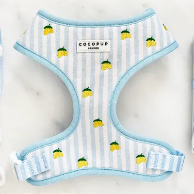 Cocopup London - Living La Vida Lemon verstelbare hondenhalsband-harnas