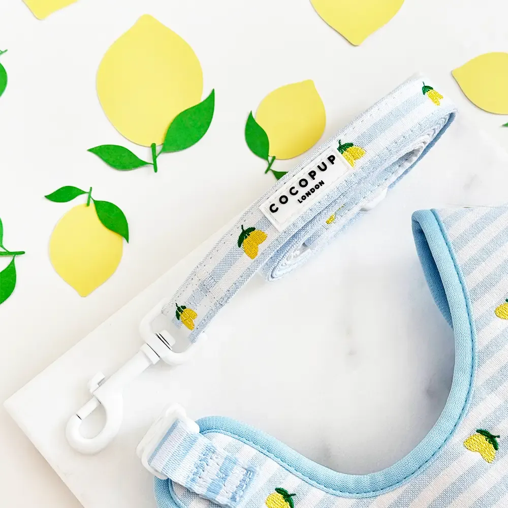 Living La Vida Lemon hondenriem