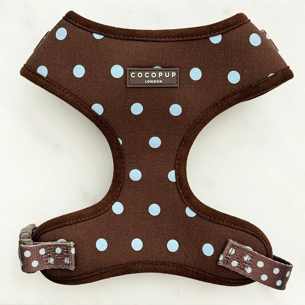Cocopup - Biscotti Blauw - Harnas Cocopup - Biscotti Blauw - Harnas