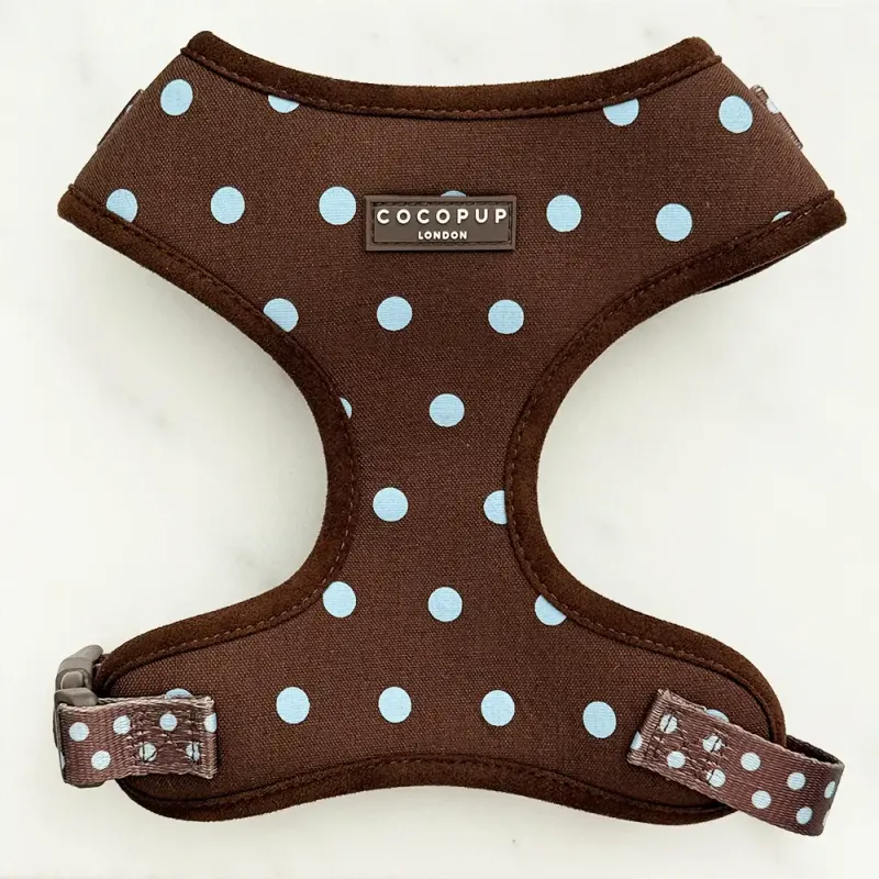 Cocopup - Biscotti Blauw - Harnas Cocopup - Biscotti Blauw - Harnas