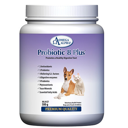 Probiotic 8 Plus 500g *SPECIAL ORDER* Probiotic 8 Plus 500g *SPECIAL ORDER*