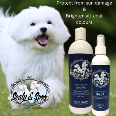 Sealy & Spoo - Shampoo & Seal/Shine/Scent Spray - BRIGHT (Tropical Coconut Scent)