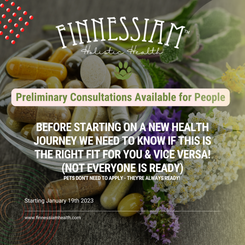 Preliminary Consultation - PLEASE READ THE DESCRIPTION BEFORE PROCEEDING!