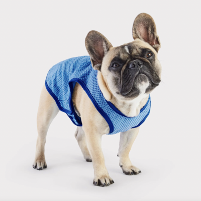 GF Pet - Elasto-Fit® Ice Vest® | Dog Cooling Vest GF Pet - Elasto-Fit® Ice Vest® | Dog Cooling Vest