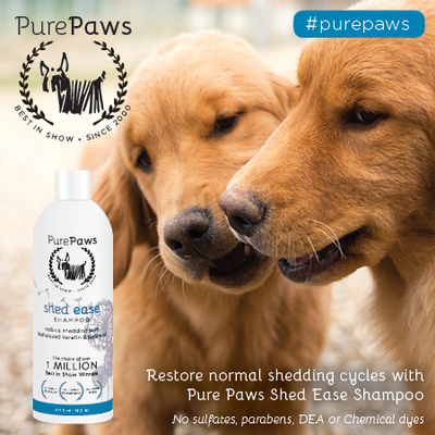 Pure Paws SLS FREE Shed Ease Shampoo 16oz