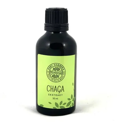 Gry Hammer Chaga Ekstrakt/Medical Mushroom Extract 50 ml