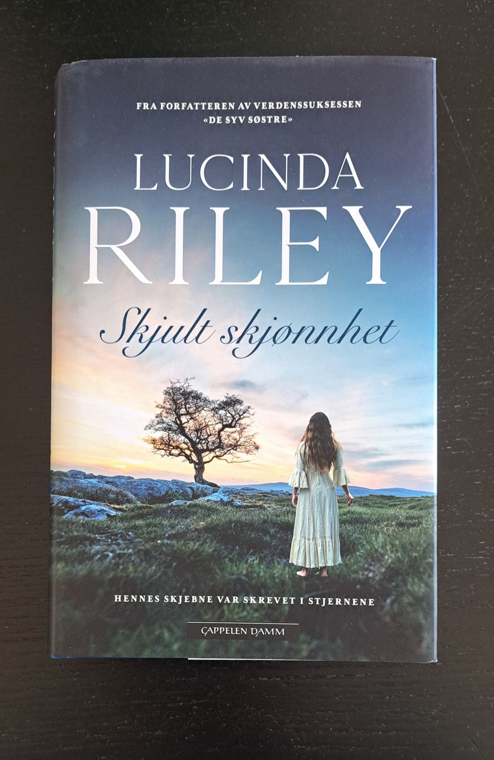 Lucinda Riley - Skjult Skjønnhet