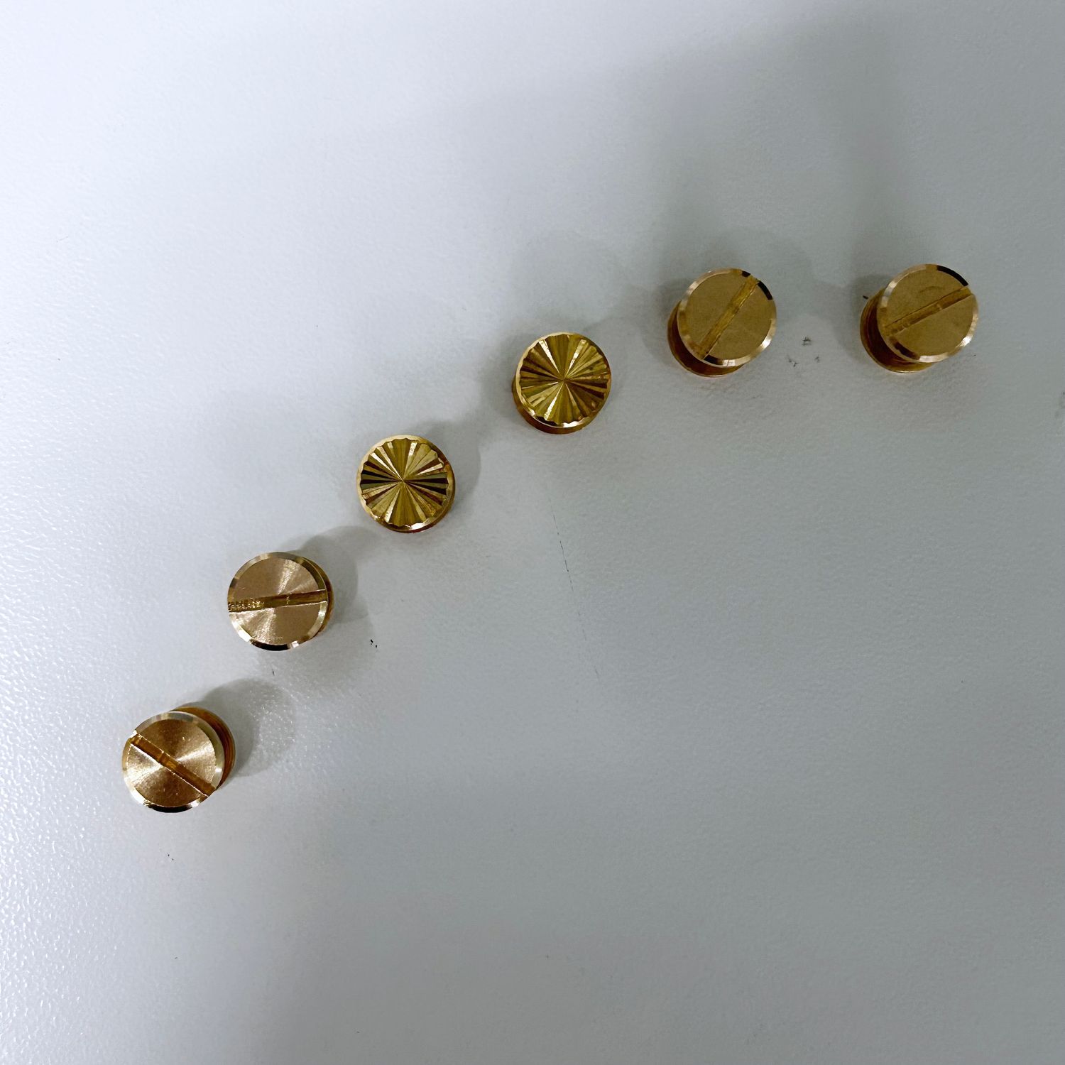 Flat Flower Brass Chicago Screws 6 pcs per pack for Belt