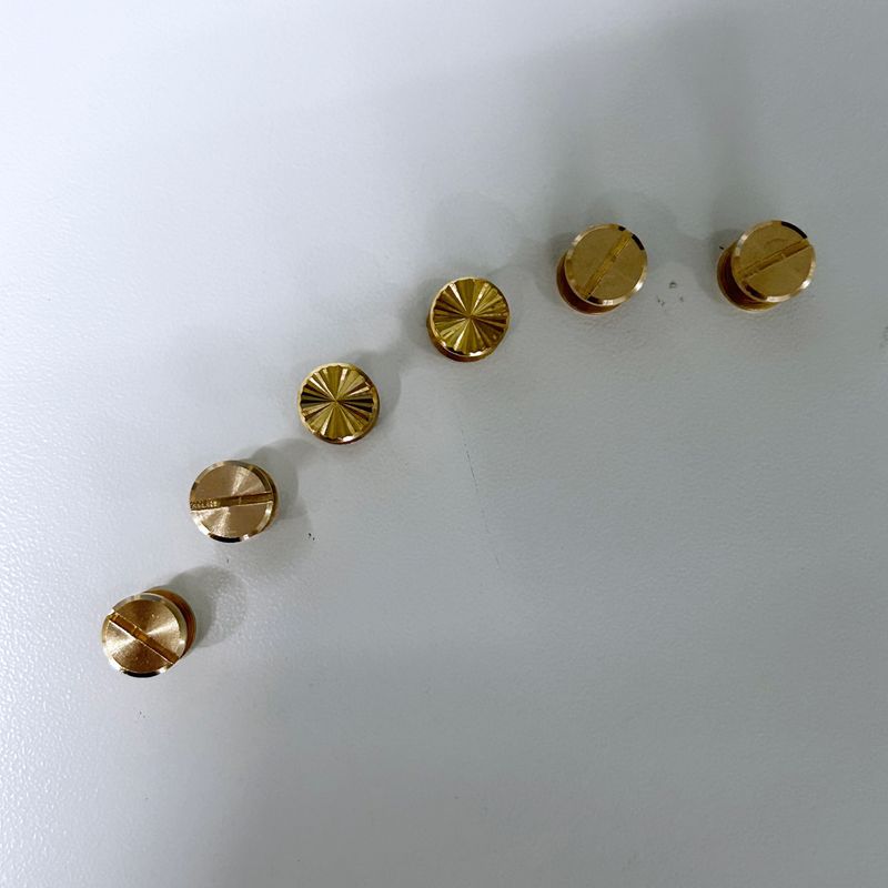 Flat Flower Brass Chicago Screws 6 pcs per pack for Belt WG-BS10