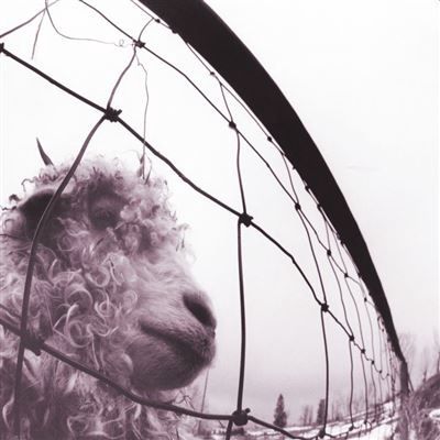 PEARL JAM - VS. (COLOUR VINYL) (INDIE EXCLUSIVE) (VINYL) (12" LP RECORD)