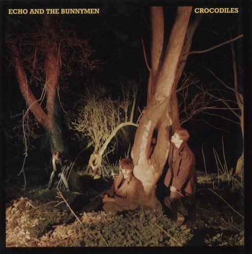 ECHO &amp; THE BUNNYMEN - CROCODILES (VINYL) (12" LP RECORD)