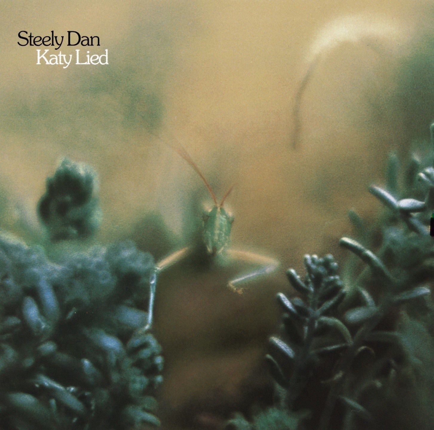 STEELY DAN - KATY LIED (LP) (VINYL) (12" LP RECORD)