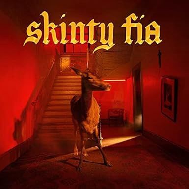 FONTAINES D.C. - SKINTY FIA (VINYL)