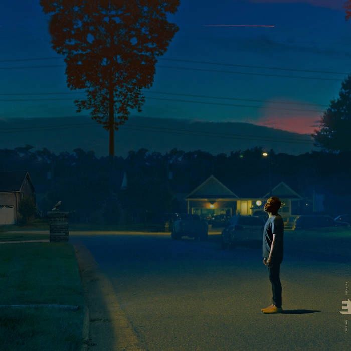 NATE SMITH - KINFOLK 2: SEE THE BIRDS (VINYL) (12" LP RECORD)