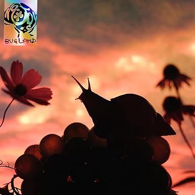 NO JOY - Bugland (ditch lily orange vinyl)