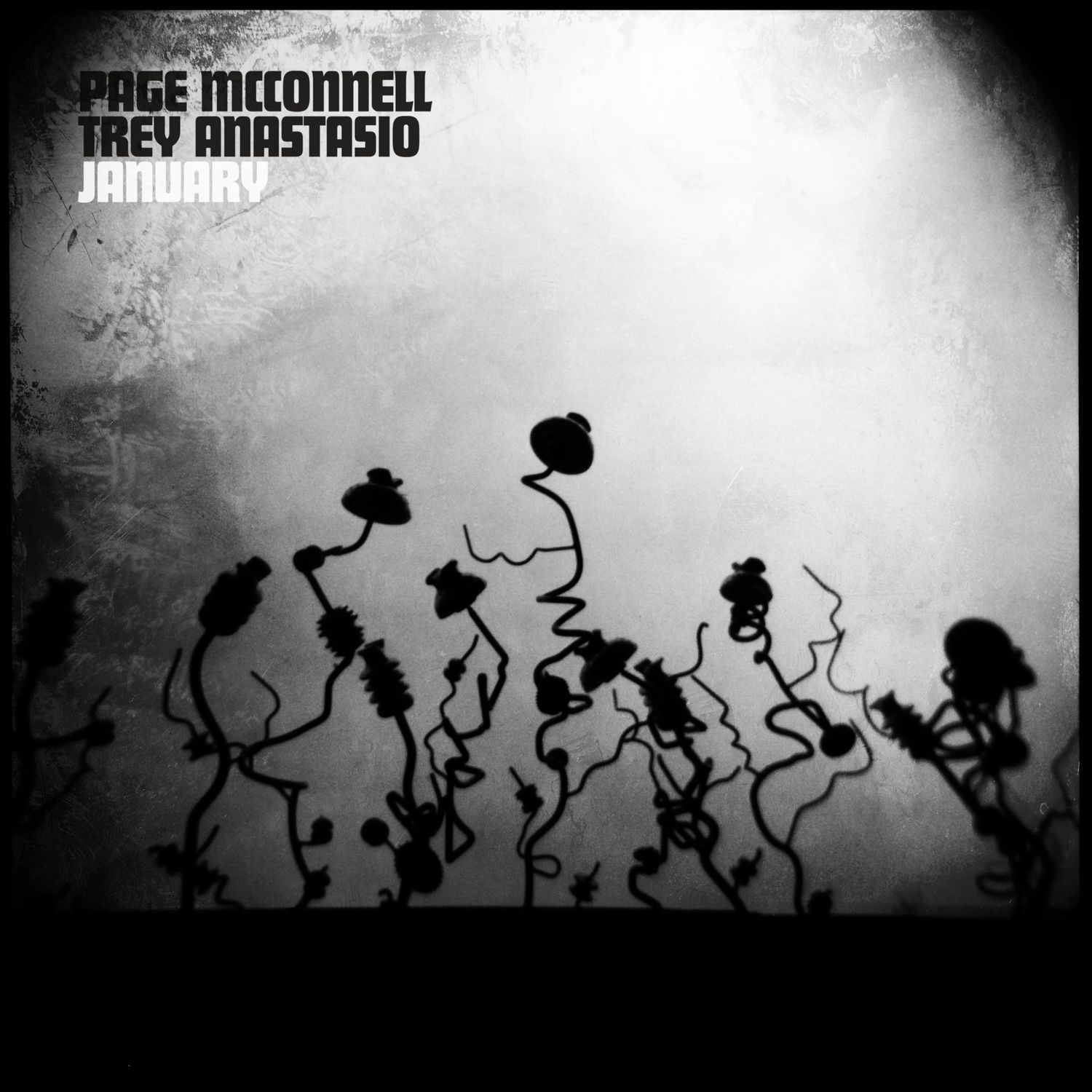 PAGE MCCONNELL &amp; TREY ANASTASIO - JANUARY - (VINYL) (12" LP RECORD)