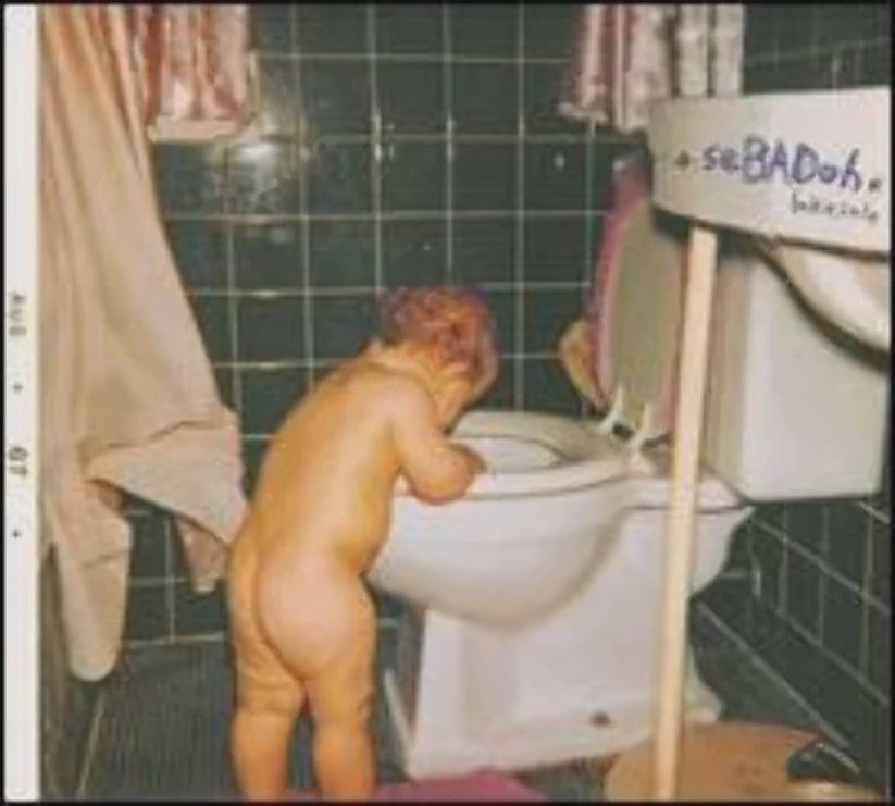 SEBADOH - BAKESALE - (VINYL LP)