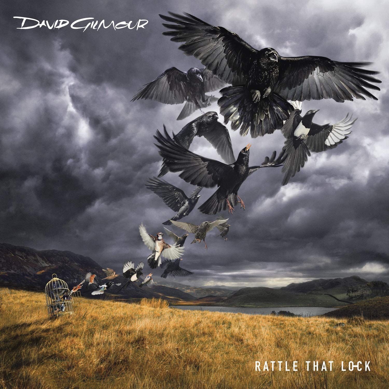 DAVID GILMOUR - RATTLE THAT LOCK - (VINYL LP RECORD)
