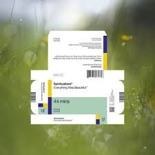 SPIRITUALIZED - EVERYTHING WAS BEAUTIFUL - (VINYL LP RECORD)