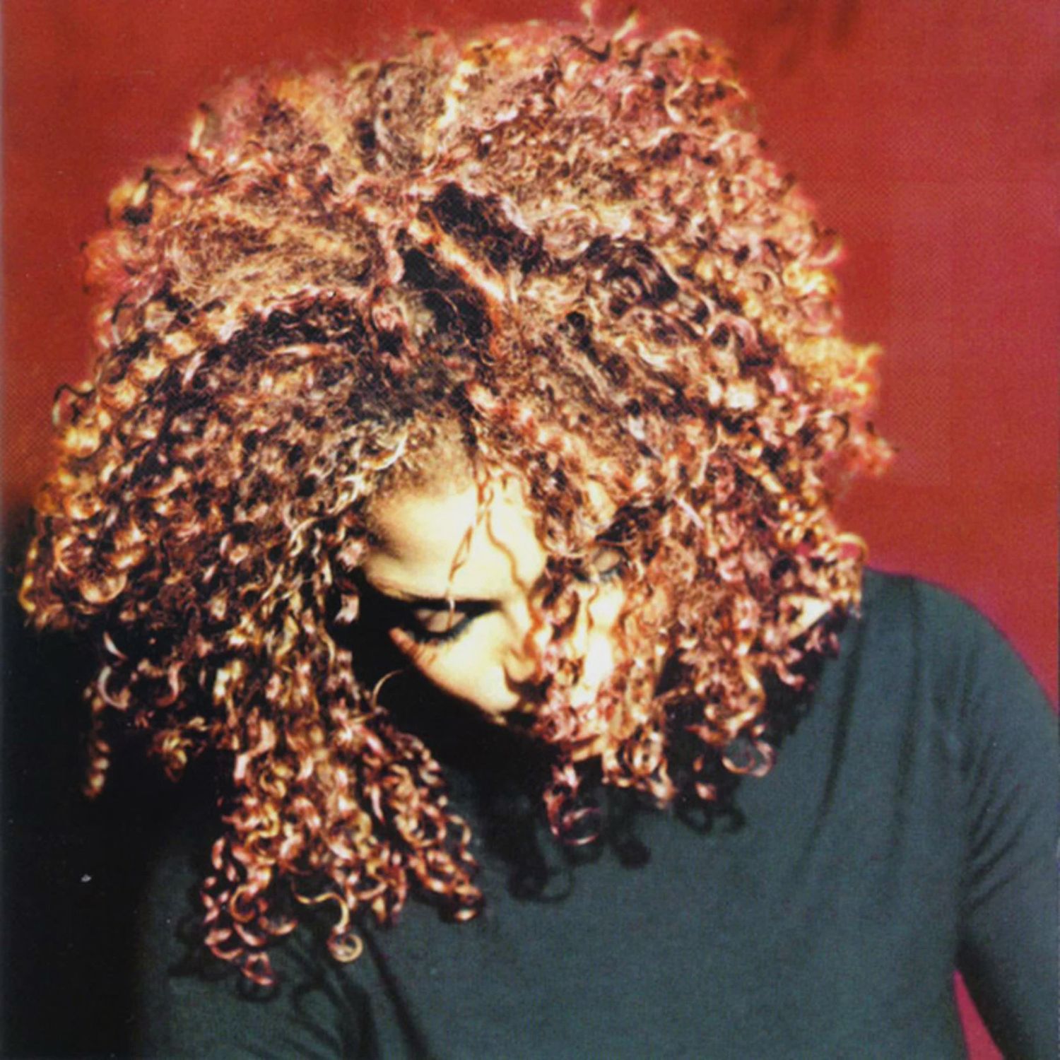 JACKSON JANET - VELVET ROPE, THE (2LP) - (VINYL) (12" LP RECORD)