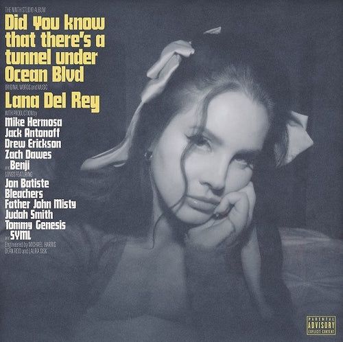 DEL REY, LANA - DID YOU KNOW THAT THERE - (VINYL) (12" LP RECORD)